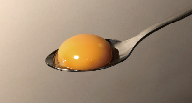卵黄
